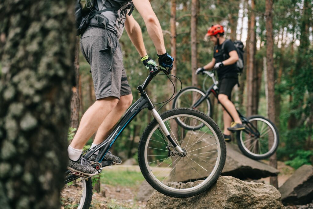 cropped shot of young trial bikers having fun in pine forest